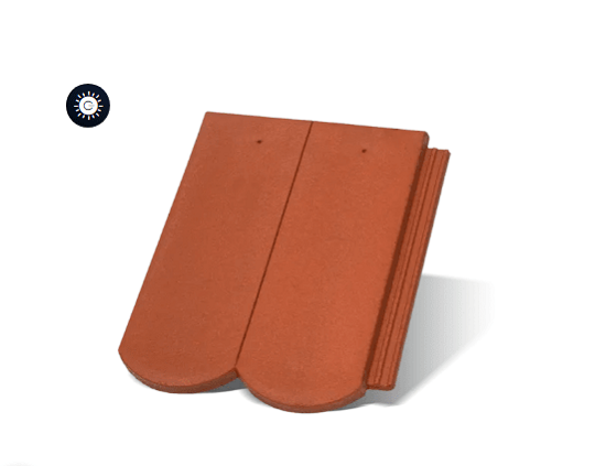 CRIJEP RUNDO RE 1/1 korall